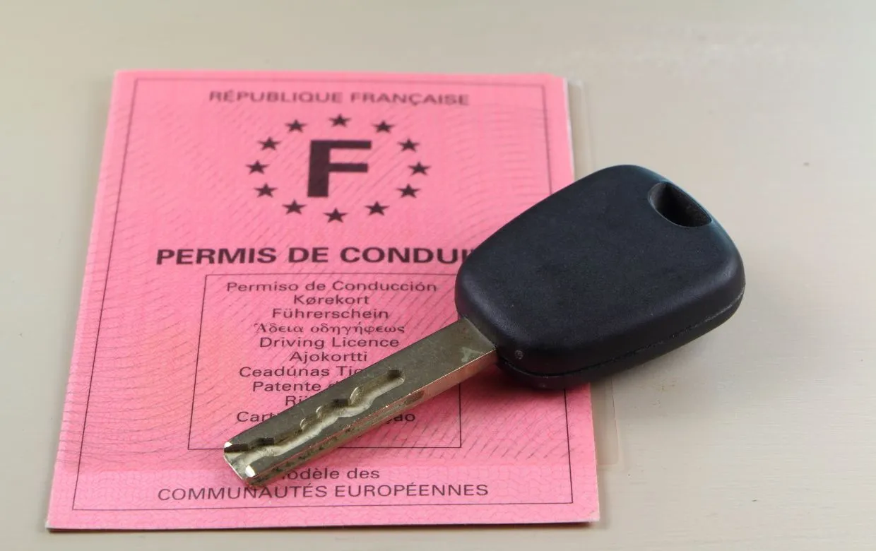 permis de conduire france